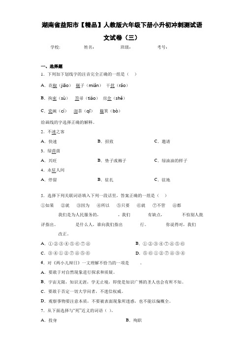 人教版六年级下册小升初冲刺测试语文试卷(三) B(含答案解析)