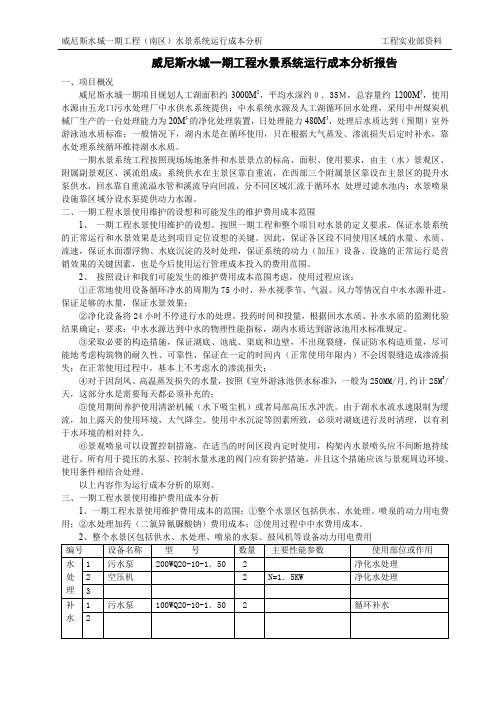 威尼斯水城一期工程水景系统运行成本分析报告