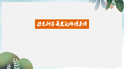 七年级生物上册 3.2.1探究种子萌发的环境条件课件  新人教版