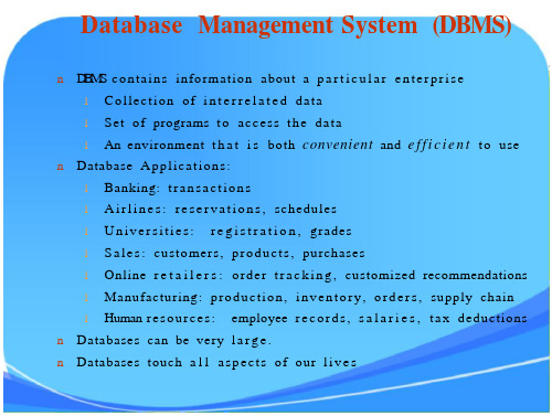 数据库系统概念(database system concepts)英文第六版  第一章