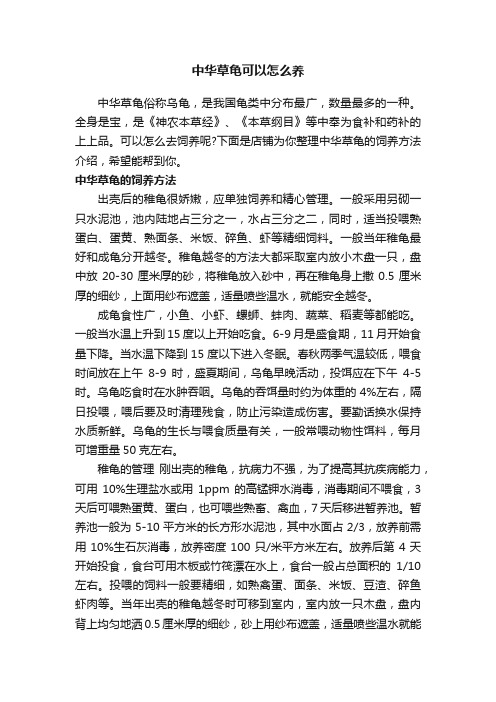 中华草龟可以怎么养