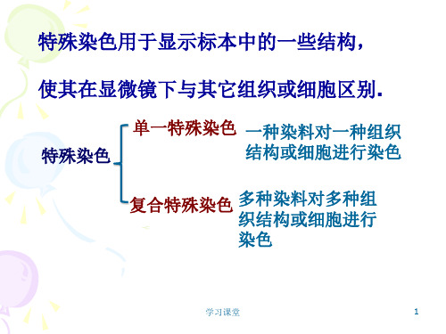 组织学技术特殊染色课堂上课