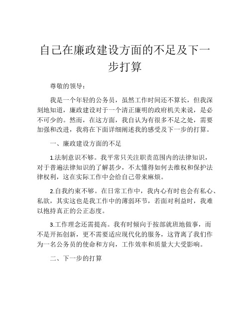 自己在廉政建设方面的不足及下一步打算