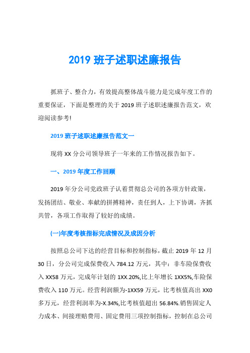 2019班子述职述廉报告