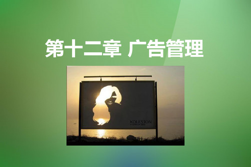 广告学教程 第十二章[45页]