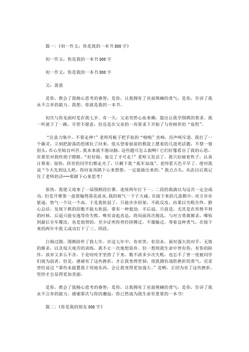 你是我的什么作文800