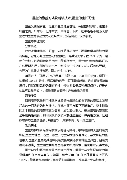 墨兰的繁殖方式及栽培技术_墨兰的生长习性