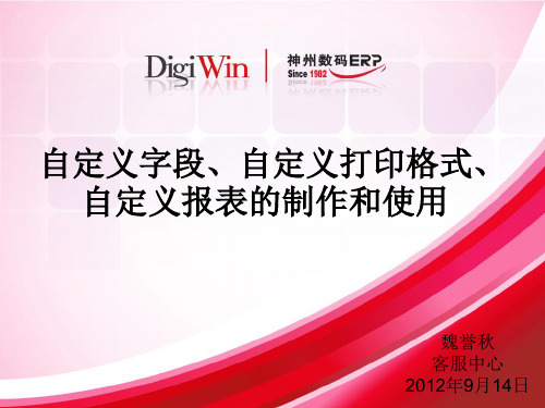 自定义字段、自定义打印格式、自定义报表的制作