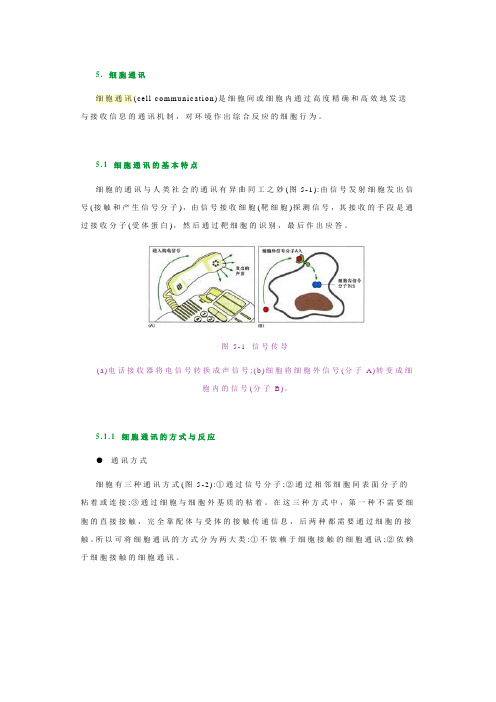 细胞生物学细胞通讯