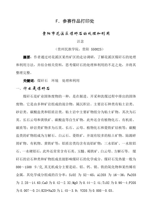 挑战杯论文