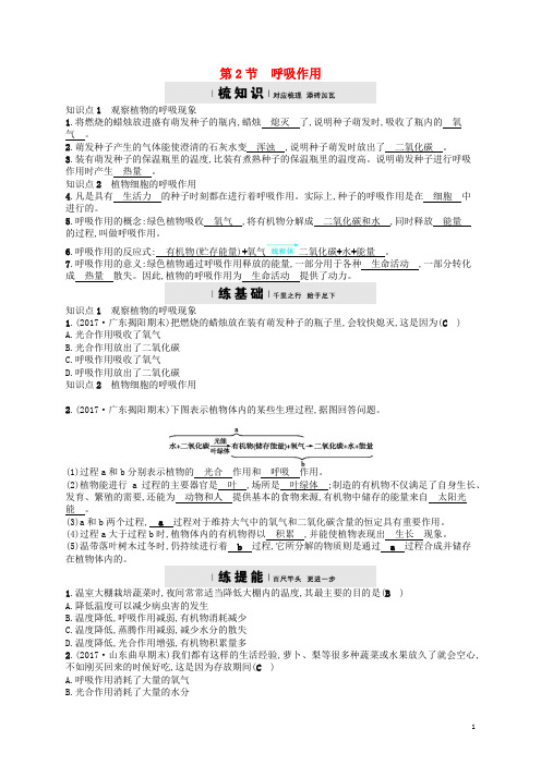 北师大七年级生物上册5.2呼吸作用练习