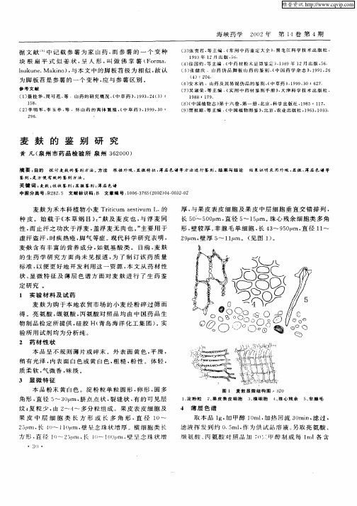 麦麸的鉴别研究