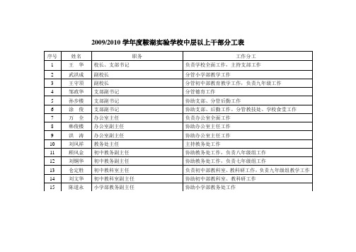 鞍湖初中20092010学年度领导班子分工表