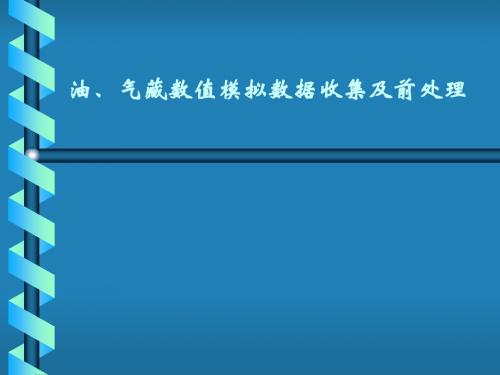 油、气藏数值模拟数据收集及前处理