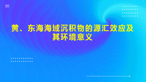 黄、东海海域沉积物的源汇效应及其环境意义