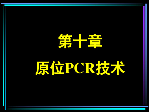 原位PCR技术