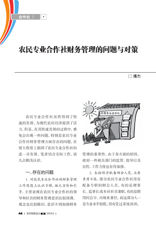 农民专业合作社财务管理的问题与对策