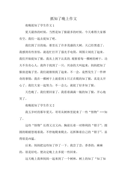 抓知了晚上作文