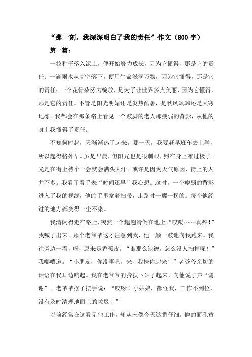 那一刻,我深深明白了我的责任作文800字