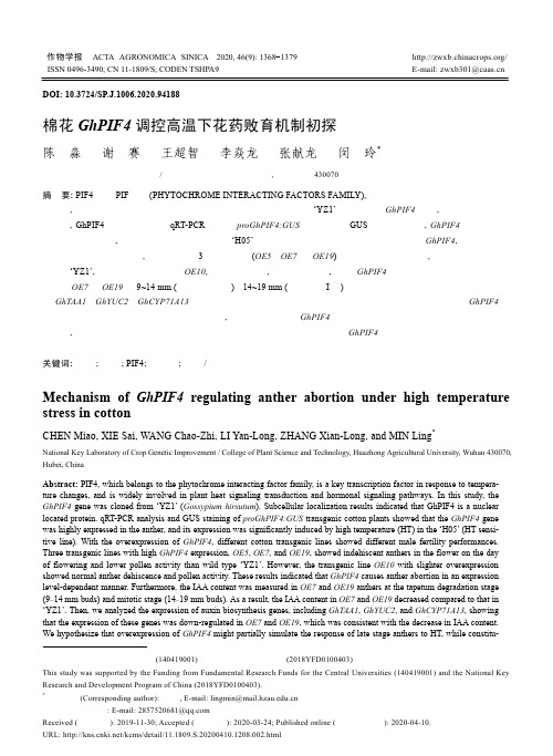 棉花GhPIF4调控高温下花药败育机制初探