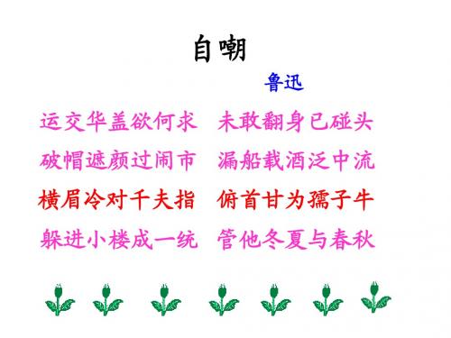 苏教版七下课件 2 一面(共34张PPT)