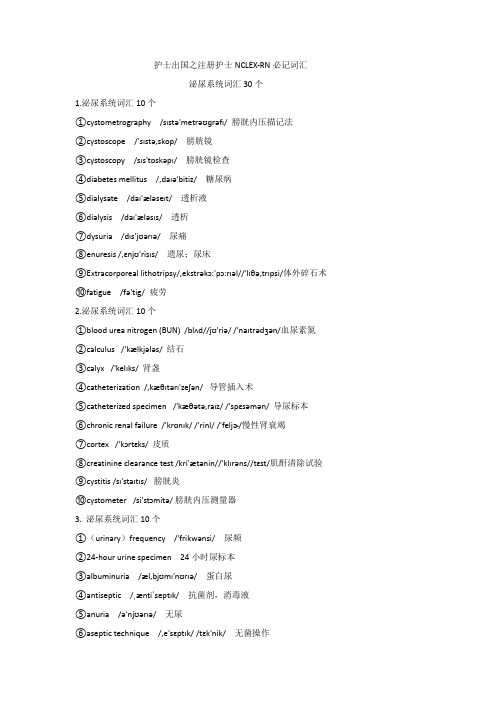 护士出国之注册护士RN必记词汇泌尿系统词汇30个