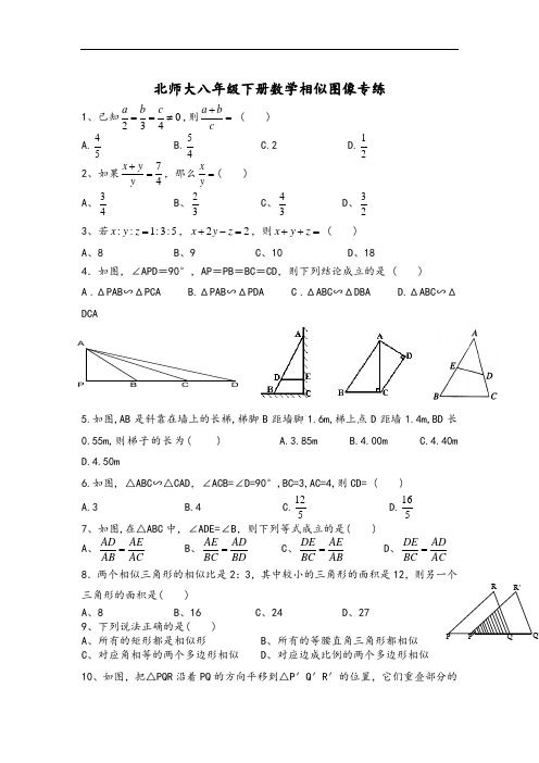 北师大八年级下册数学相似图像专练