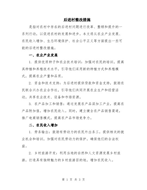 后进村整改措施