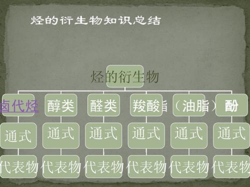 《烃的衍生物知识总结》课件