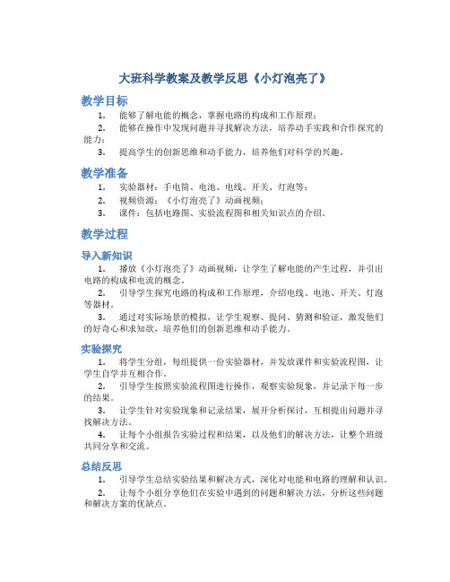 大班科学教案及教学反思《小灯泡亮了》