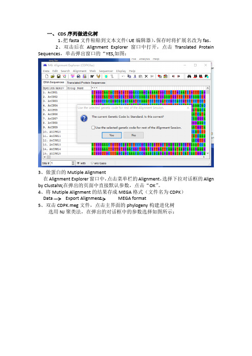 进化树步骤