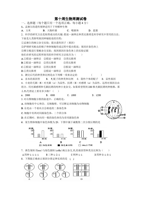 第10周周测高一生物测试题