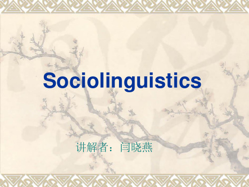 socialinguistics