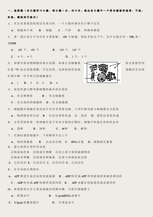 高中生物会考模拟试题含答案