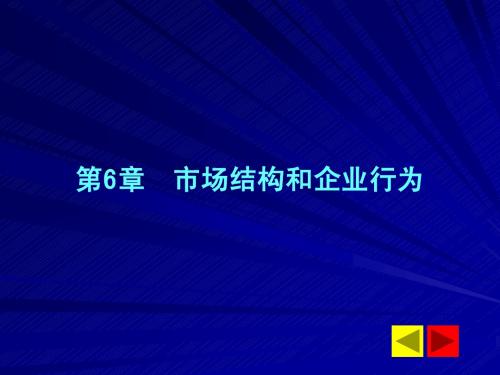 市场结构和企业行为