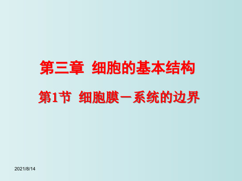 细胞的基本结构 高中生物人教版必修一 教学PPT课件