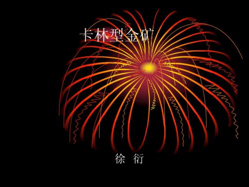 卡林型金矿