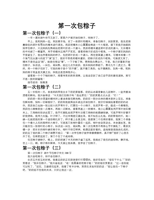 第一次包粽子作文共九篇