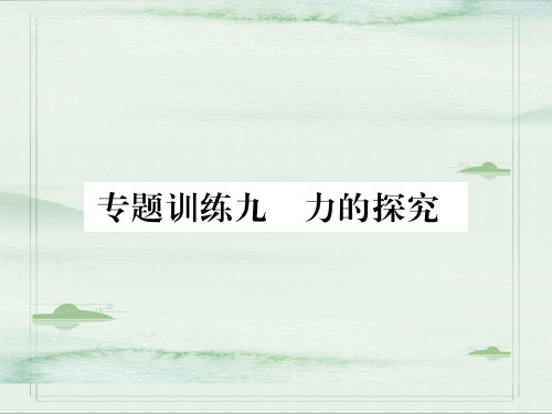 第六章  专题训练九 力的探究—2020秋沪科版八年级物理上册课堂作业课件