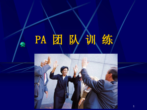 PA团队专项训练(ppt 96页)