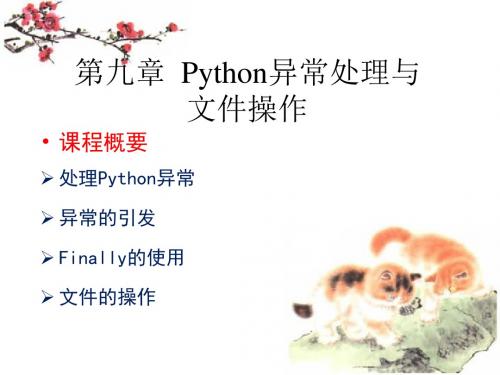 Python第九章