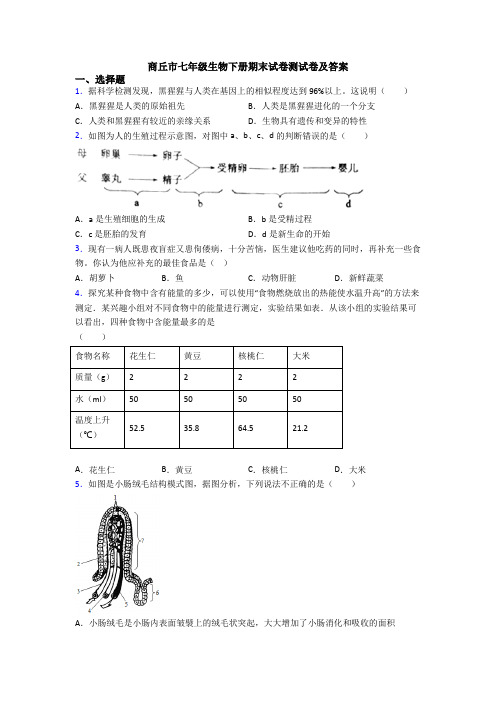 商丘市七年级生物下册期末试卷测试卷及答案