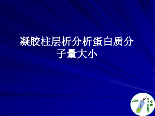 凝胶柱层析分析蛋白质分子量大小