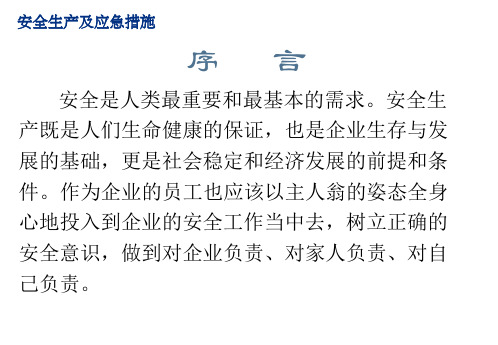 安全生产和应急措施专题培训课件