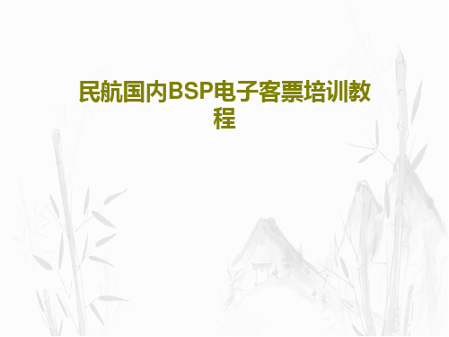 民航国内BSP电子客票培训教程共57页文档