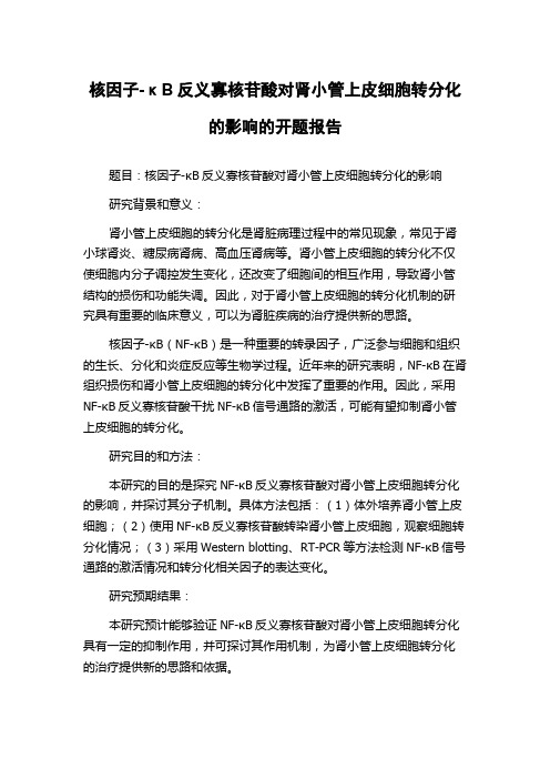 核因子-κB反义寡核苷酸对肾小管上皮细胞转分化的影响的开题报告