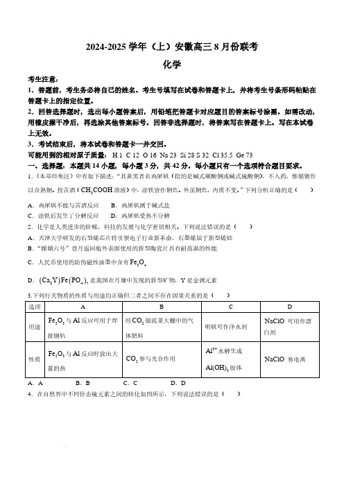 2025届安徽天一大联考高三上学期8月联考化学试卷+答案