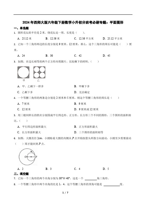 2024年西师大版六年级下册数学小升初分班考必刷专题：平面图形