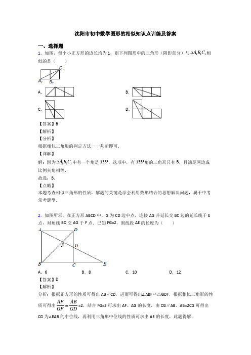 沈阳市初中数学图形的相似知识点训练及答案