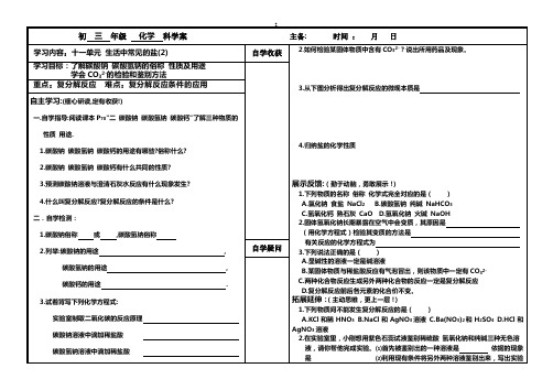 生活中常见的盐(2)